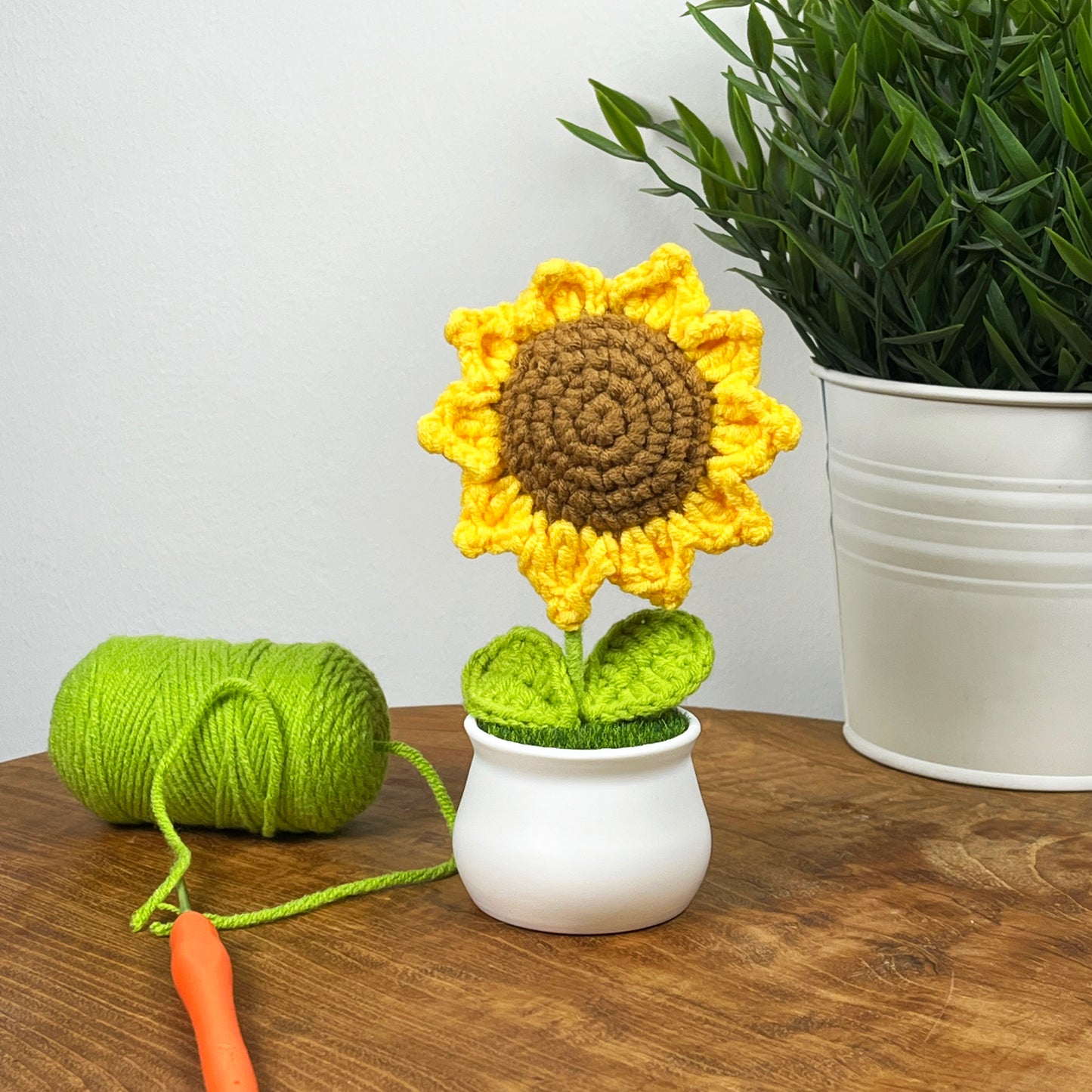 Sunflower of the Sun